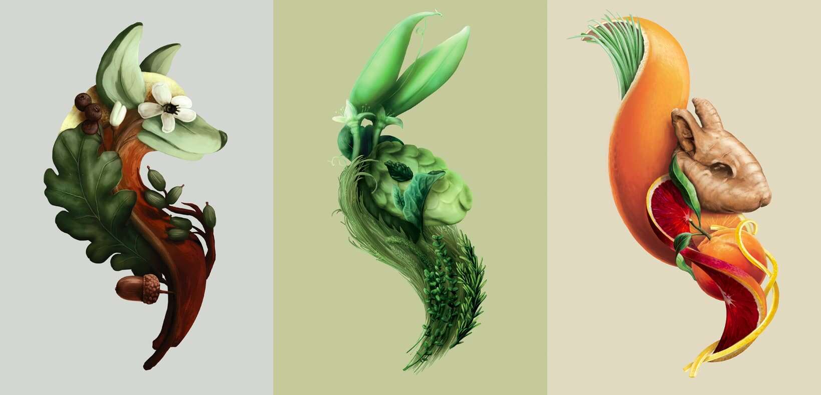 Design graphique des 3 variantes