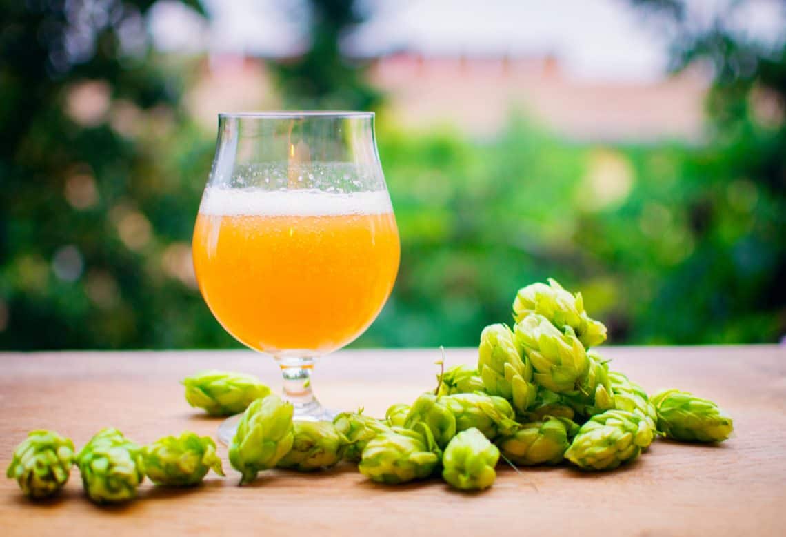 tendances marché bière traditionnelle