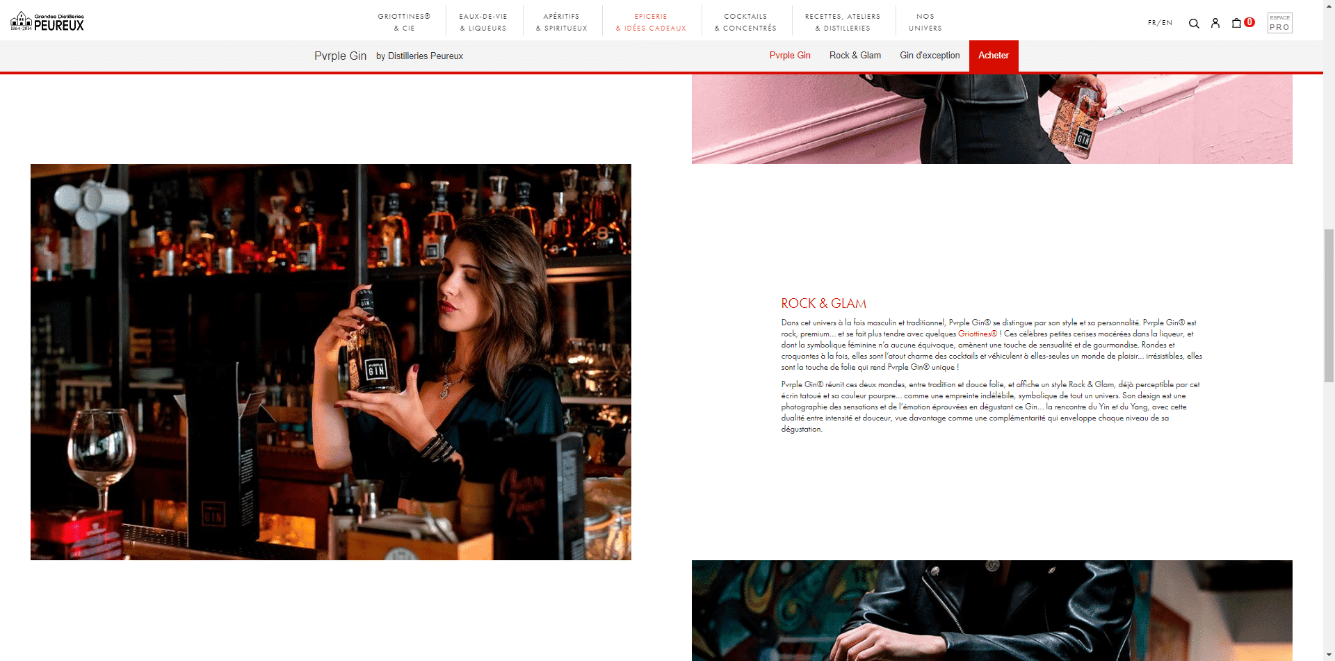 Webdesign Pvrple Gin